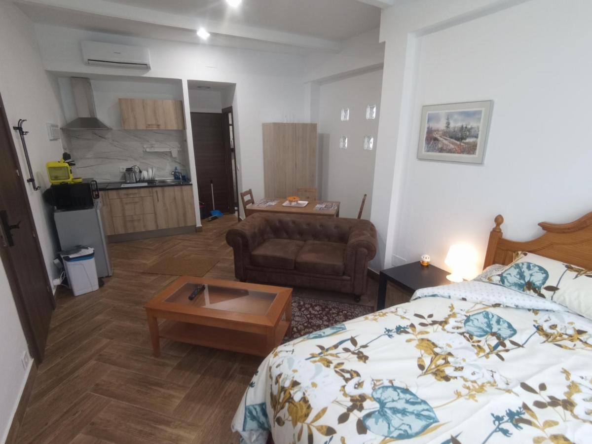 Apartamento De Lujo En La Sierra Becerril de la Sierra Buitenkant foto